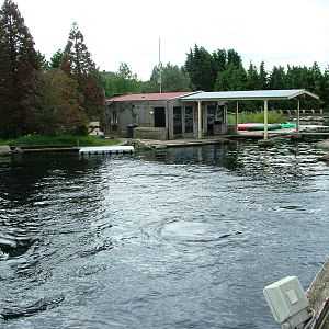 Dolphin Delta at Harderwijk, 01/06/12