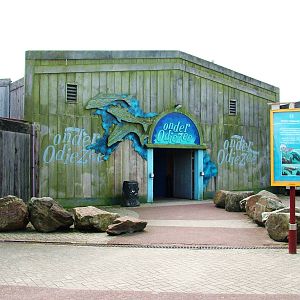 Underwater Viewing and Cafe Entrance at Harderwijk, 01/06/12