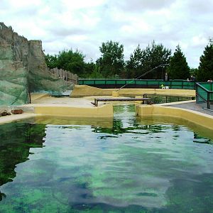 Porpoise Bay at Harderwijk, 01/06/12