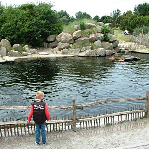 Seal Pools at Harderwijk, 01/06/12