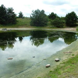Seal Pools at Harderwijk, 01/06/12