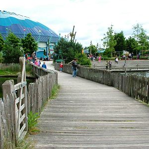 Seal Pools at Harderwijk, 01/06/12
