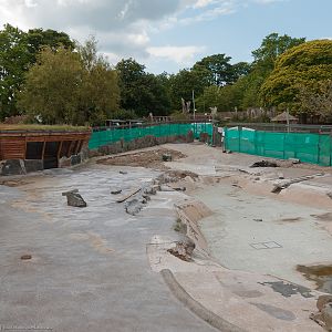 Empty Penguin Pool - 14/06/2012