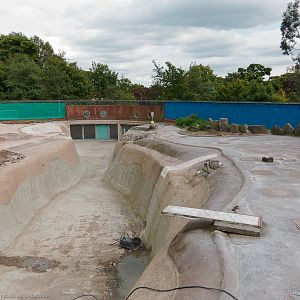Empty Penguin Pool - 14/06/2012