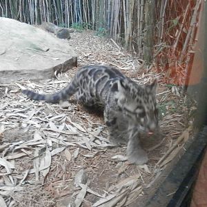 He came over to check out Marty