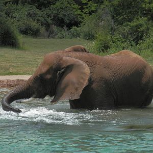 90 degrees deserves a swim