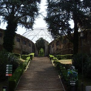 The Big Aviary 2012