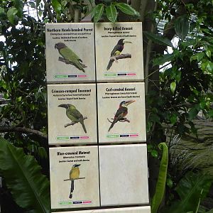 Parker Aviary Signs