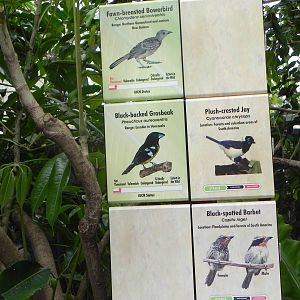 Parker Aviary Signs
