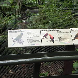 Parker Aviary Signs