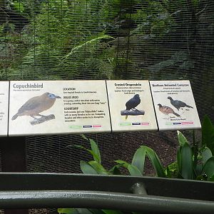 Parker Aviary Signs