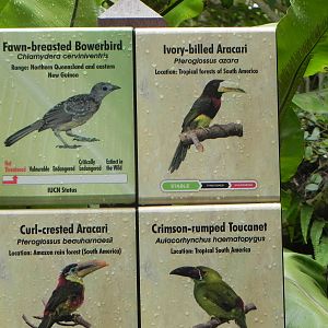 Parker Aviary Signs