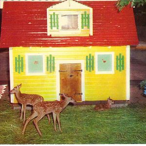 Catskill Game Farm Postcard