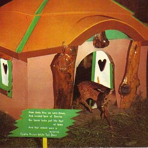 Catskill Game Farm Postcard