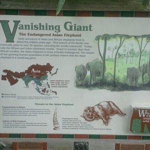 Jun. 2012-Elephant Reserve Sign