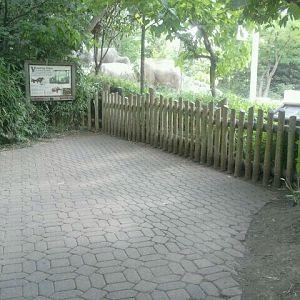 Jun. 2012-Elephant Reserve 1 of 4 viewings (Cow yard)