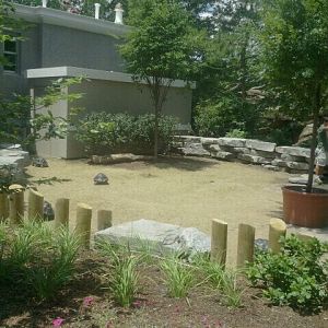 Jun. 2012-Galapagos Tortoise Encounter