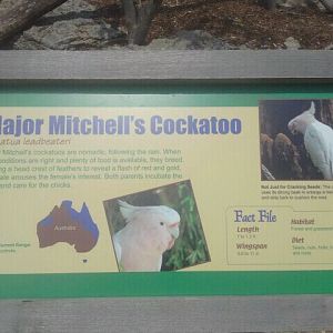 Jun. 2012-Cockatoo sign