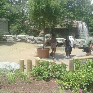 Jun. 2012-Galapagos Tortoise Encounter