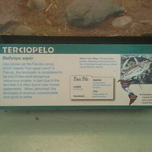 Jun. 2012-Terciopelo sign