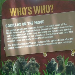 Jun. 2012-Gorilla World Sign