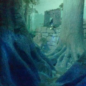 Jun. 2012-Southern Brazilian Ocelot exhibit (viewing 1)