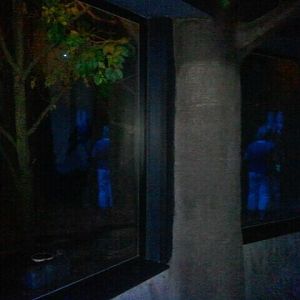 Jun. 2012-Common vampire bat exhibit