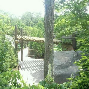 Jun. 2012-Snow leopard exhibit viewing