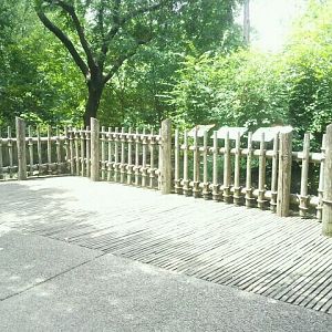 Jun. 2012-Red Panda exhibit viewings