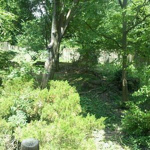 Jun. 2012-Right Red Panda exhibit