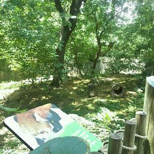 Jun. 2012-Left Red Panda exhibit