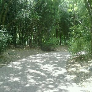 Jun. 2012-Bamboo Trail by the Red Panda exhibits