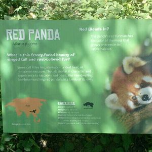 Jun. 2012-New Red Panda sign