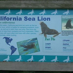 Jun. 2012-Sea lion sign