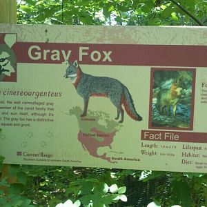Jun. 2012-Fox sign