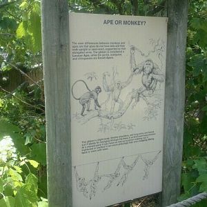 Jun. 2012-Gibbon Islands Sign