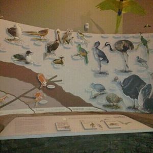 Jun. 2012-Wings of the World Entrance Signs