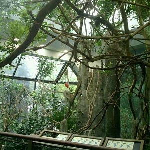 Jun. 2012-South America in Wings of the World