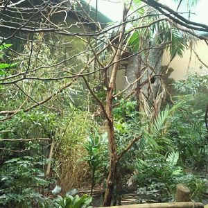 Jun. 2012-Left side of Australasia in Wings of the World