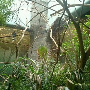 Jun. 2012-Right Side of Australasia