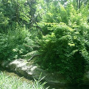 Jun. 2012-Mueller's Grey Gibbon Island