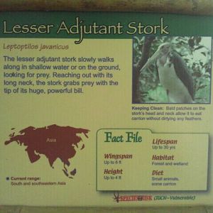 Jun. 2012-Stork sign