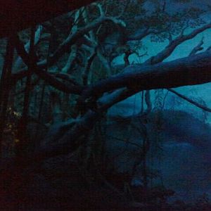 Jun. 2012-Aye-aye/Grey Bamboo Lemur/Potto exhibit