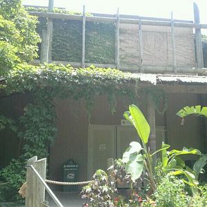 Jun. 2012-Wings of the World