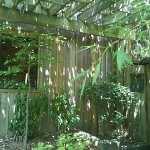 Jun. 2012-Old Nocturnal House