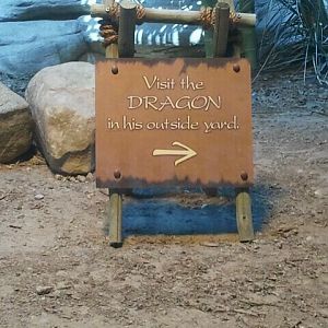 Jun. 2012-Dragons! Sign