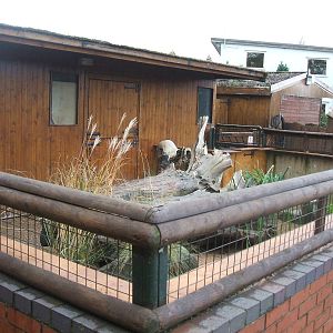 New Meerkat enclosure