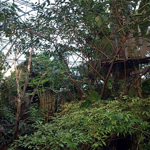 Randers Tropical Zoo - South America Dome