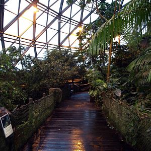 Randers Tropical Zoo - Monkey Path