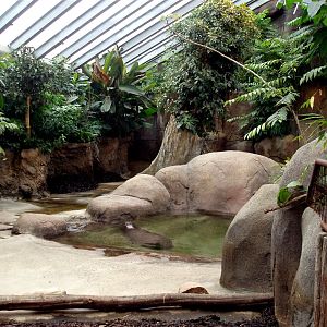 Aalborg Zoo - African Village